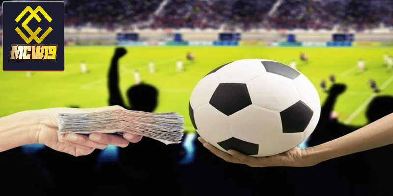 Thể thao MCW19 - Khám Phá Thế Giới Cá Cược Thể Thao Đỉnh Cao 3 Môn thể thao bóng đá được yêu thích tại MCW19