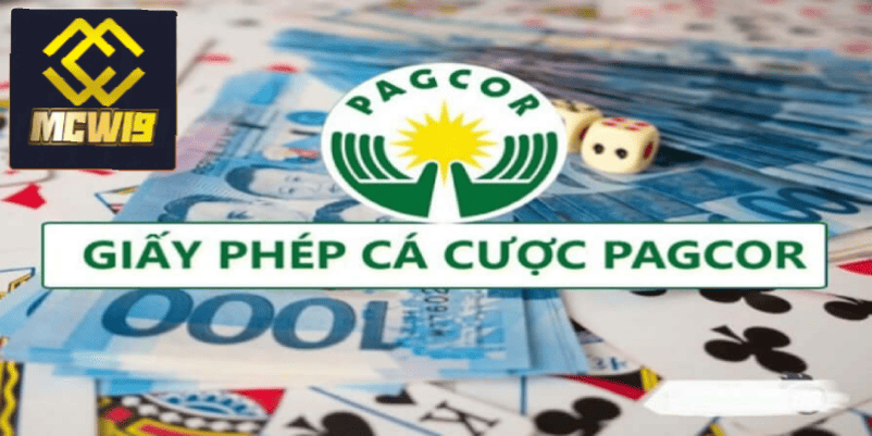 MCW19 được cấp phép hoạt động hợp pháp